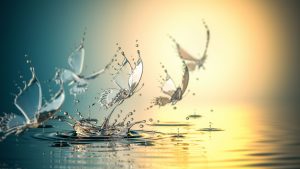 Water butterflies suggesting the calm resulted from letting go. Daniel provides various emotional release services to help people through their journey of letting go.